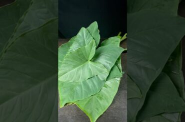 Alu Vadi Recipe #shorts #cooking #food #recipe