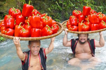 The Secret to Perfectly Cooked Bell Peppers | Delicious Vegetarian Recipes | Dwarf Food