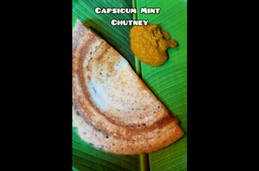 Capsicum Mint Chutney | Recipe in Desciption | No Coconut #shorts #shortvideo#shortsfeed#foodshorts
