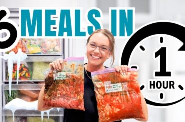 STOCK Your Freezer with These 6 Easy Meals! Ready When You Need Them Most!