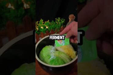 Easy Homemade Kimchi in 2 Days