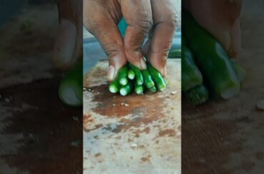 Speed Chili Cutting & Spicy Recipe | Quick Kitchen Hack | #shorts