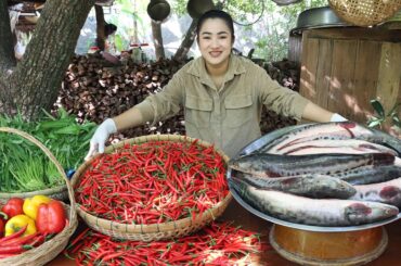 Countryside vlog: Delicious chili and snakehead fish cooking / country food cooking
