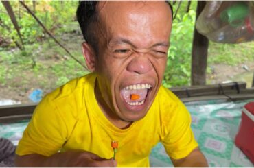 From Garden to Bowl: Picking Calamansi & Chilies for a Flavor-Packed Noodle Recipe