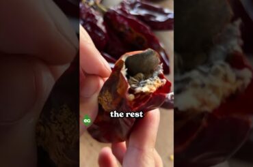 I grew my own paprika...