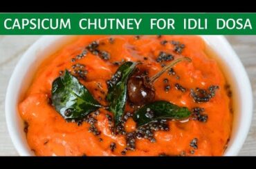 Capsicum Chutney Recipe in English | Red Bell Pepper Chutney | Side dish for Idli | Chutney Recipes