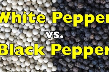 White Pepper vs. Black Pepper: What’s the Real Difference?