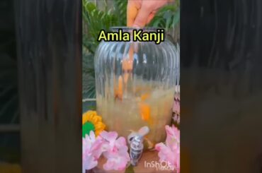 Episode-5: Turmeric Ginger Amla Kanji | Probiotic Drink | weightloss drink | #recipe #weightloss