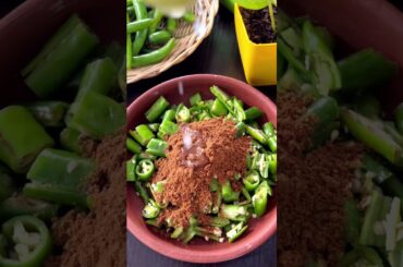 Little chef instant green chilly pickle #uttaskitchen #greenchilli #greenchillipickle