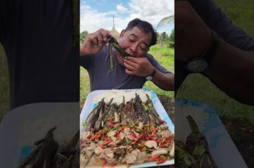 7510182041539890463   How to cook pork eggplant with chili recipe #foodtiktok #eating #chili #pork #