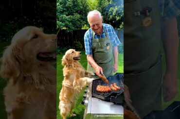 Grandpa Grills Chili Sausages, Dog Jumps Playfully #grandpacooks