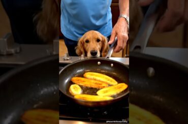 Grandpa Fries Chili Plantains, Dog Watches Every Move #grandpacooks