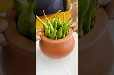 Hari Mirch Ka Achar ASMR #shorts #asmr #asmreating #asmrsounds #food #cooking #recipe #viral