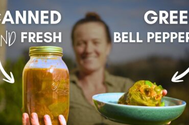How we preserve our green pepper glut - Fresh & Canned recipe