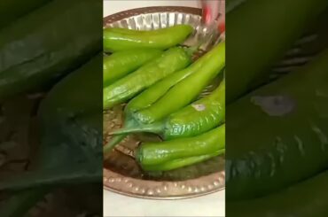 How to make Chilli Vada at home #shorts #viral #food