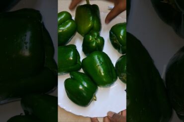 viralplzz #trending #shorts #funny #cooking #capsicum pakoda #recipe #capsicum recipe