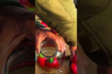 Stuffed Pickled Peppers: Handmade and Flavorful