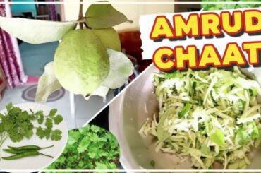 Amrud Ka Aisa Chaat Kabhi Nahi Khaya Hoga 🌶️🤤 | Street Style Recipe | Mirch Dhaniya Aur Masalon Wala