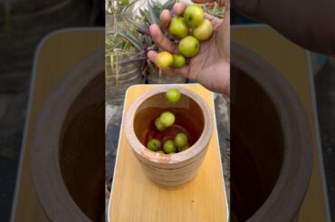 Humble Dostai Spicy Boroi Vorta 🔥