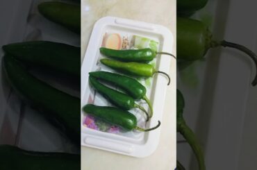 😱ore baba koto boro 🌶️.#shorts #vairalshort #villagecooking1 #recipe #chili pokora.