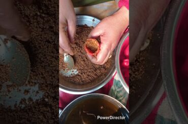 Homemade Red Capsicum Pickle | Easy & Spicy Red Bell Pepper Pickle Recipe#Aacharrecipe#homemadeAchar