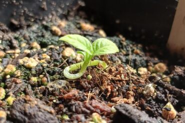 Any hope for this one?