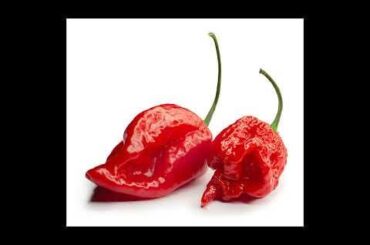 remember this song every time you cut chillis