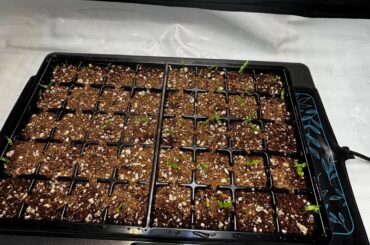 Am I on the right track?