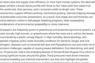 OPB Community Project: Big-A** Pequin