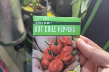 Took a $2 gamble from the local ACE hardware