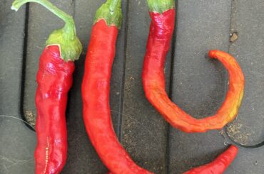 Any Id on these ones?