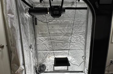 First Grow Tent Setup, Seeds Sprouting 6 Days