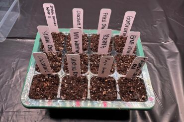 It’s About That Time Again