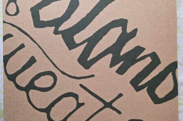 Poblano Sweater came in