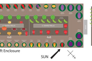 Need feedback on garden layout (focus on peppers)