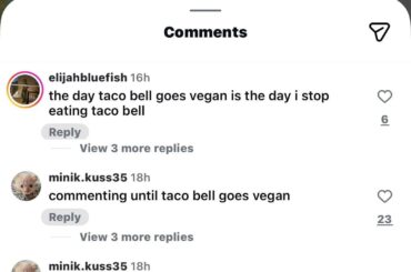 Why is everyone telling TB to go vegan?