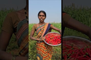 పండు మిరపకాయ నిల్వ పచ్చడి