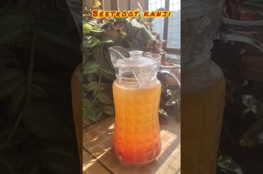 Probiotics drinks ke itne sare benefits by Dr Varun Sharma#s #shortsviral #viral #viralnow