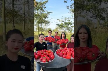 Yummy cooking peppers recipe