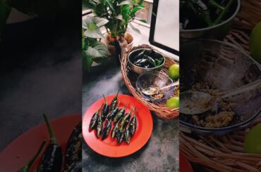 black bullet 🌶️ pickle #recipe #pickle #chilli #minivlog #youtubeshorts #viral #dailylife