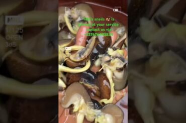 Best Spicy Snail Pepper Soup Recipe🥵😋 SnailPepperSoup #foodie #SpicyFood#AfricanCooking#howtocook