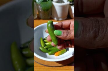 Spicy green chilli pickle recipe | #shorts #youtubeshorts