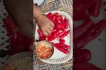 mirchi ka achar ☺️