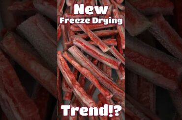 This Freeze Dried Snack Shouldn’t Work (But It Does)