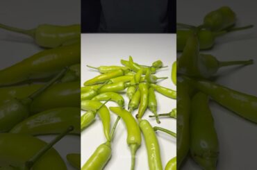 Mirchi Halwa #shorts