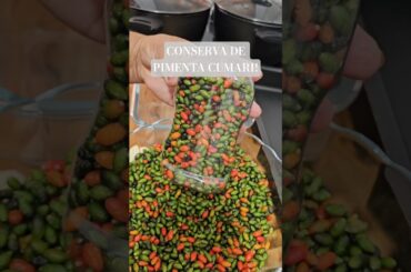 CONSERVA DE PIMENTA! #pimenta #maisviews #viralshorts