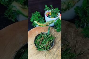 Benefits of Green chilli By Sanyasi Ayurveda  #ayurved #food  #shortsfeed #recipe #viral