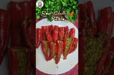 Red Chilli Pickle | Lal Mirch ka bharwa achar #ytshorts #shorts  #achar #acharrecipe #food #chilli