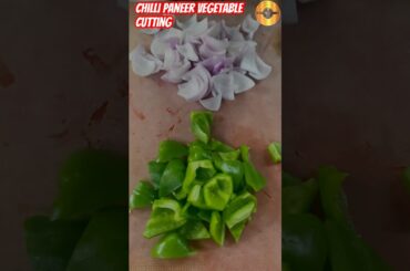 Chilli Paneer Cutting Vegetables #chillipaneer #shortsfeed #shorts #food #streetfood #bndfoodwala