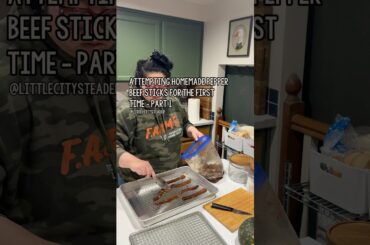 Homemade Pepper Beef Sticks (Beginner Attempt) | Dehydrator Recipe Part 1